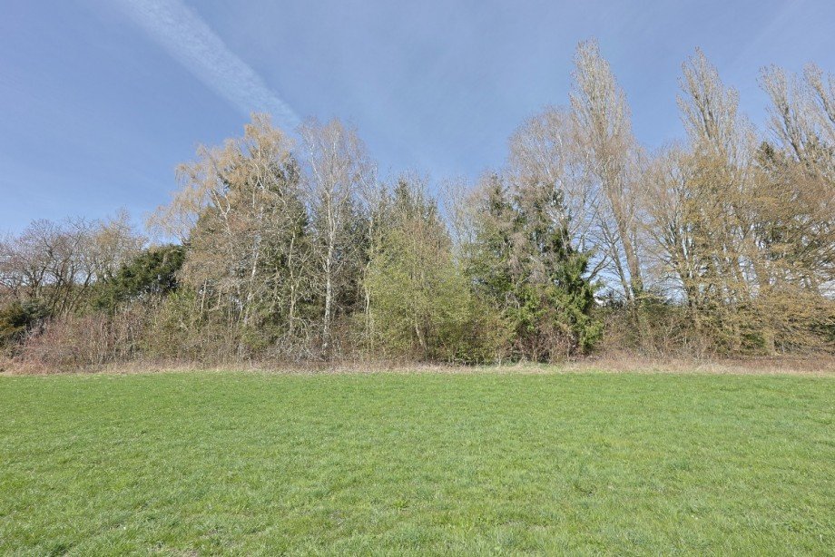 Ansicht auf unteren Teil des Grundst�ckes Wohngrundst�ck Erbach