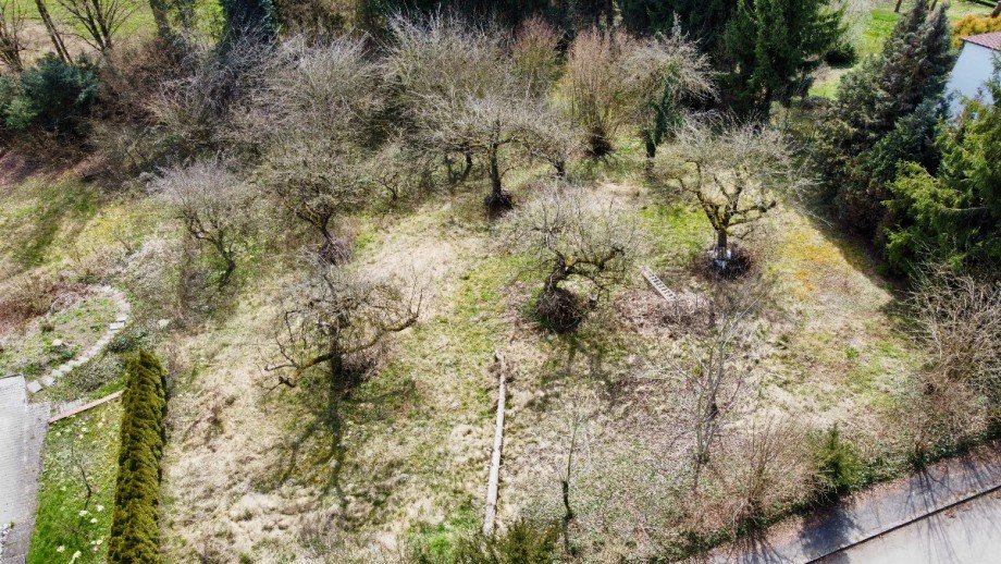 Drohnenbild Wohngrundst�ck Erbach