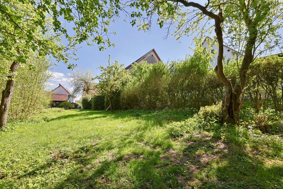 gro�es Grundst�ck Einfamilienhaus Erbach