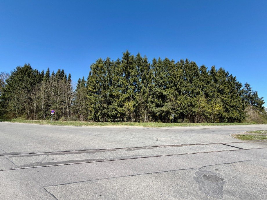 Au�enseite Grundst�ck Gewerbegrundst�ck Erbach