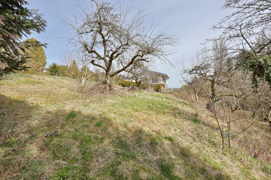 Grundst�ck Wohngrundst�ck Erbach