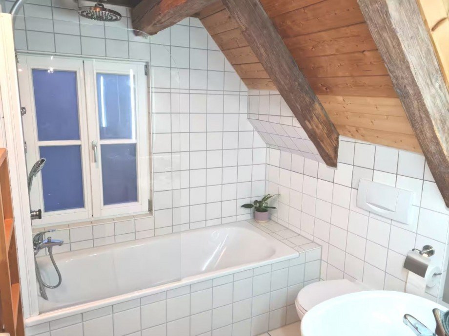 Tageslichtbad Wohnung Blaubeuren