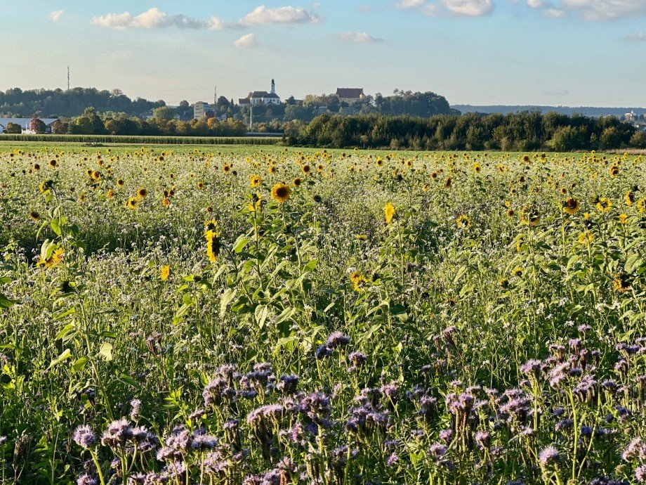 Blick auf Erbach Etagenwohnung Erbach