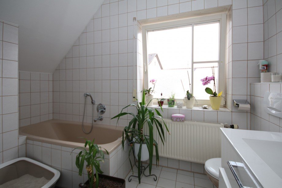 Wohnung Nr. 2 Mehrfamilienhaus Allmendingen