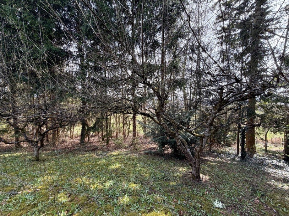 unterer Teil vom Grundst�ck Wohngrundst�ck Erbach