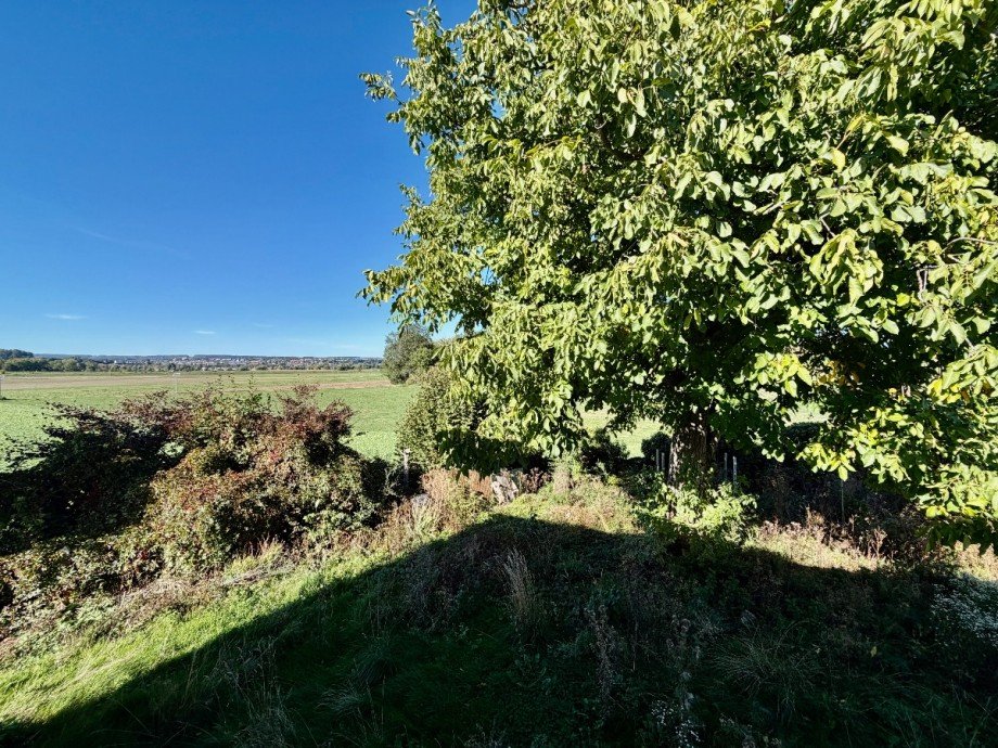 Blick in Garten Bungalow Erbach