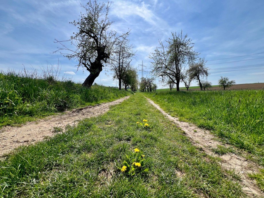 Naturnahe Lage Doppelhaush�lfte Erbach