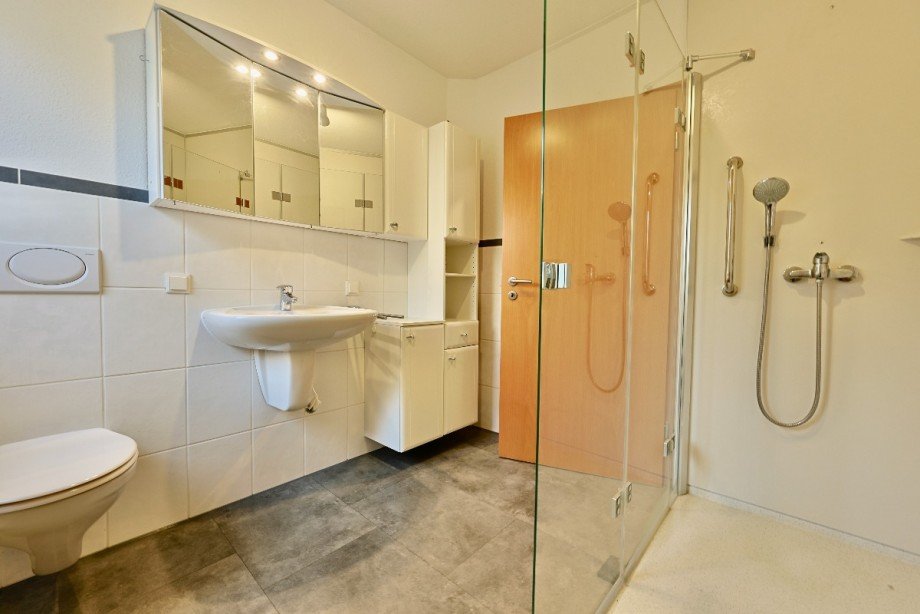 Tageslichtbad Einfamilienhaus Erbach