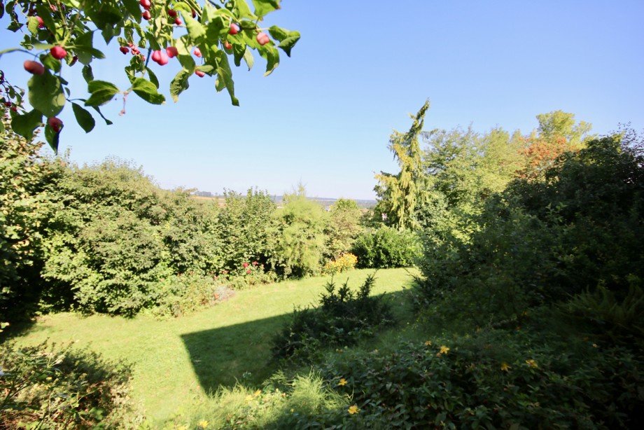 Garten Einfamilienhaus Erbach